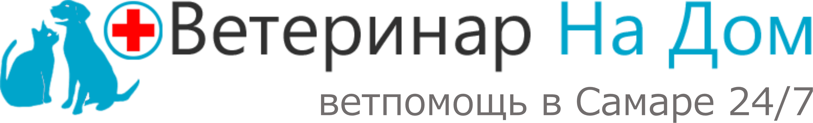 Ветеринар На Дом — Самара
